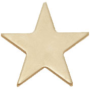1” Star Pins