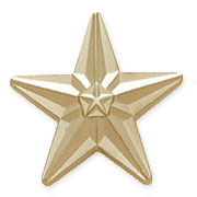 3/4” Star Pins